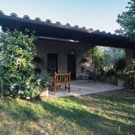 Dimora Borgogni: Country House ペルージャ エクステリア 写真
